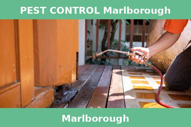 PEST CONTROL Marlborough